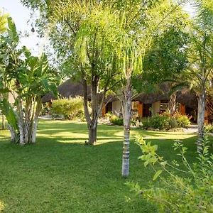 Lion'S Den Guesthouse Otjiwarongo